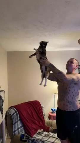He Thought the Cat Was Possessed 😂 💀 (🎥 Ashley Fowler via ViralHog)