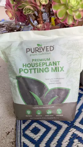 The secret to my indoor plants.. purived premium houseplant potting mix.. #purivedpremiumhouseplantpottingmix #purivedfertilizer #purived #viralvideo #chicagogirl #gardenlover #succulentslover #plantslover #fyp #foryou 