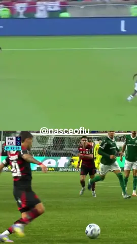 O sistema sabe quem é o sistema.  #fluminense #palmeiras #flamengo #var #juiz #cbf 