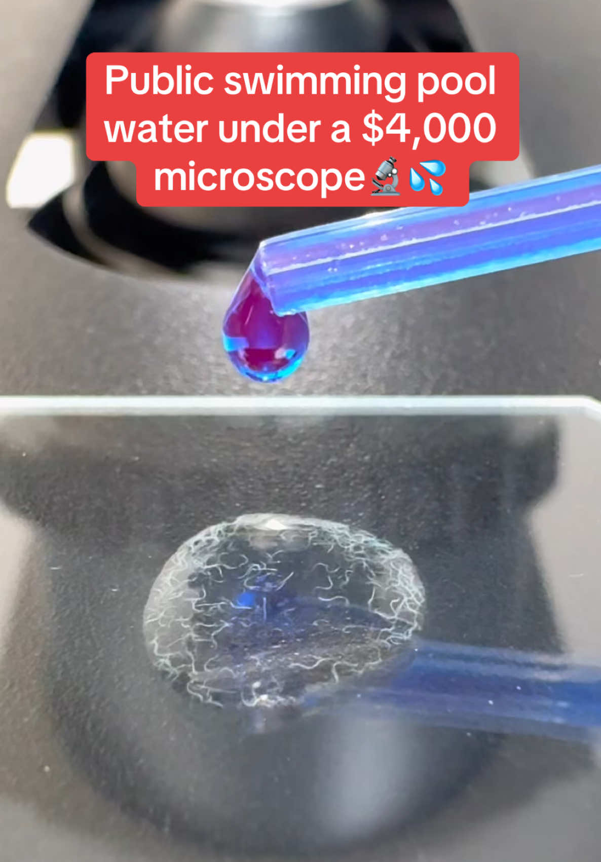 What does 1000x look like to you? 