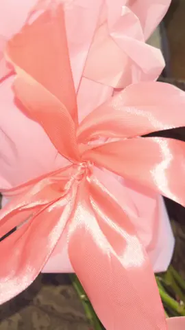 #roses #industia #del #amor #itselyjaimes #parati #followme🦋 #viral #tiktokviral #roses 