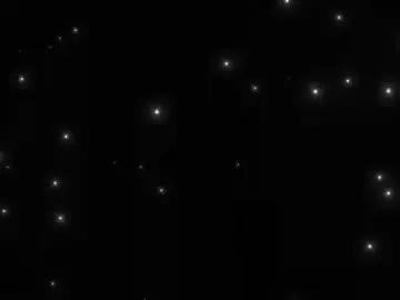 جزء5 | طبعا اني ماخليت كل شهداء لان شهداء العراق هواي ربي يرحمهم ، وهذا الفيديو قصير ومايكفي شهدائنا الف رحمة ع ارواحهم الطاهره #باسم_خادم_لن_يتگرر #قصاءد_حسينيه 