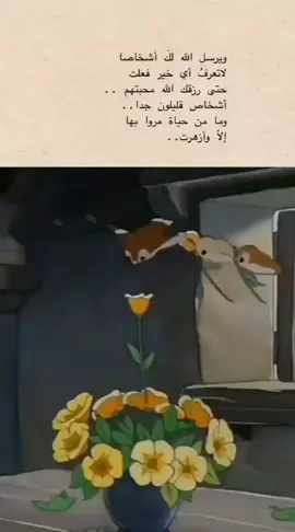 🤍✨ #فولو❤️ #my #اكسبلورexplore #تركيا #اسطنبول 