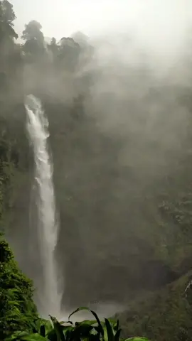 #CapCut #pemandangan #curugcipendok #cipendok #ajibarang #purwokerto #curug #waterfall #explore #keindahanalam #nature #fyppppppppppppppppppppppp #fyi #xybca #xcyzba #pesonaindonesia #forest #fyp #fypviralシ #foryou #4u #sadsong #backtofriends 