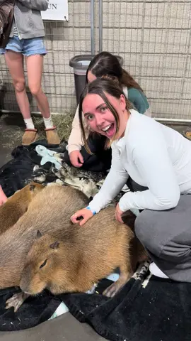 MY LIFE IS COMPLETE❤️🥹 #capybara 