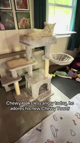 #cattree #tiktokshopcreatorpicks #TikTokShop #FathersDay #cattower #cattowers #cattok #catsoftiktok #catlover #catscratcher #flowercattree 