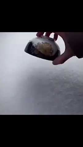 #mrbombastic #positivity #trending #fyp #memes #bestfunny #magic #viral 