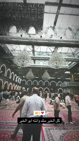 #كربلاء_مدينة_العشق_والعاشقين #كربلاءالمقدسه 