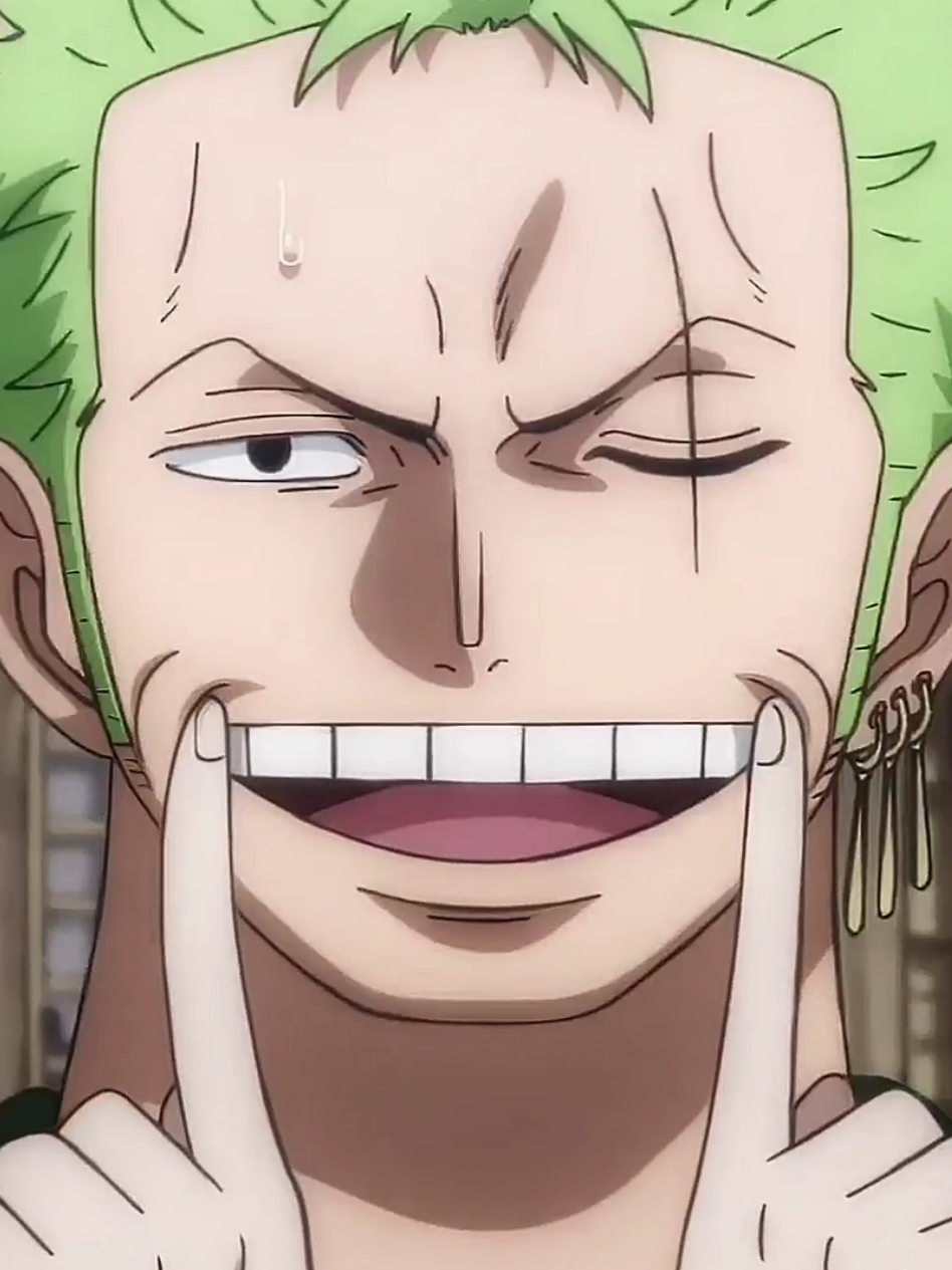 best duoo #zosan #zoro #sanji #onepiece #mugiwara #strawhat #onepiecefunnymoment #duo 