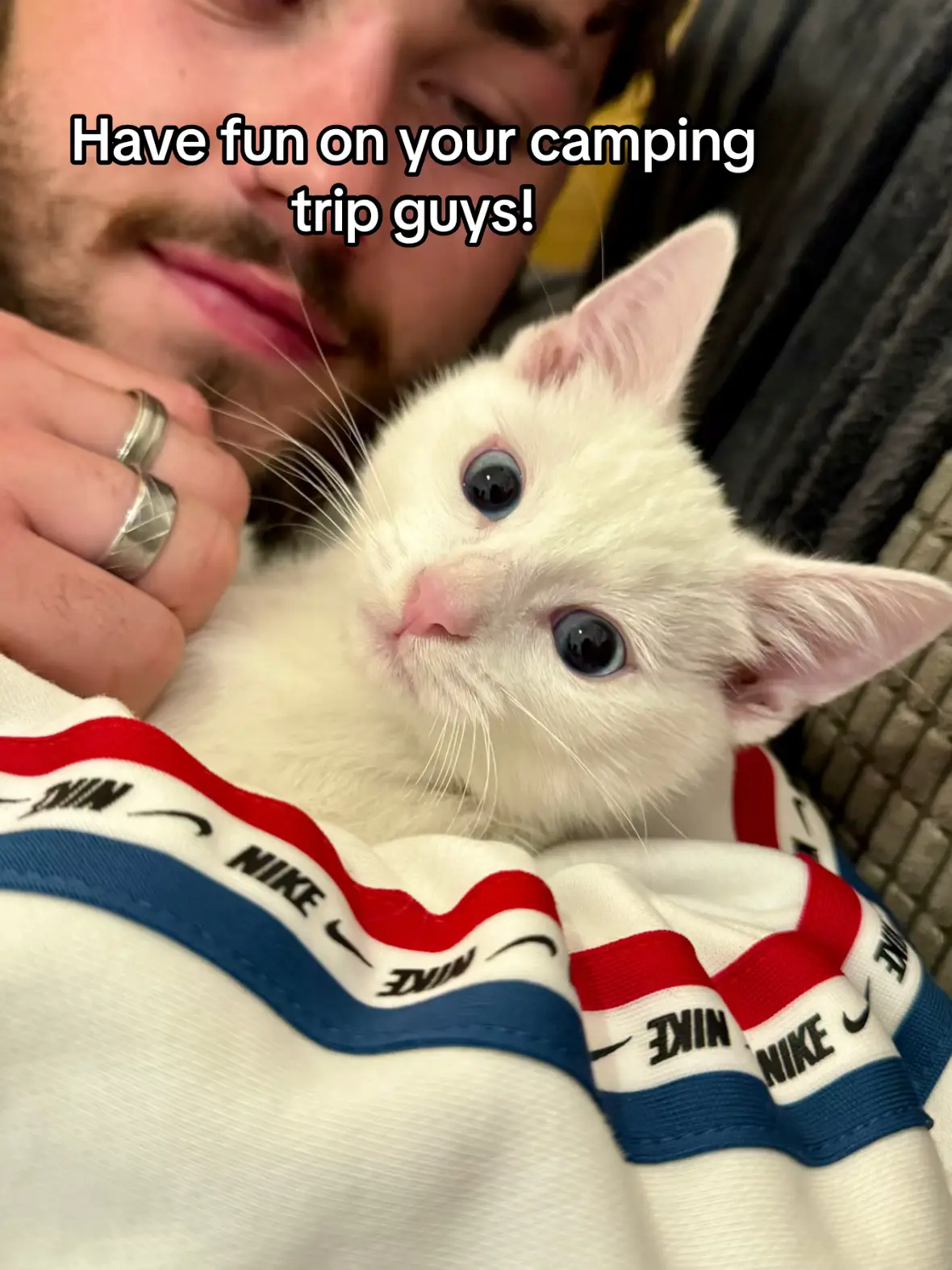 #campingcat #cat #catsoftiktok #adventurecat #cute #funny #Hiking #Outdoors #hikingcat #kitten #coolcat 