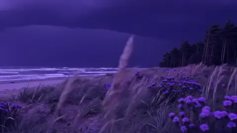 I'll post videos like these #fyp #xybca #nightcore #pmghxst #parati #💜 #foryoupage #nightvibes #pastelghost♡ #pastelghost #iris #darkbeach 