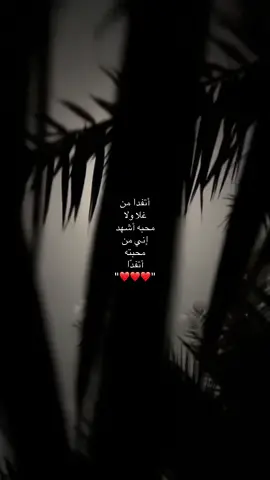 #pov #fypシ #اكسبلورexplore #الخرج_الرياض #explore 