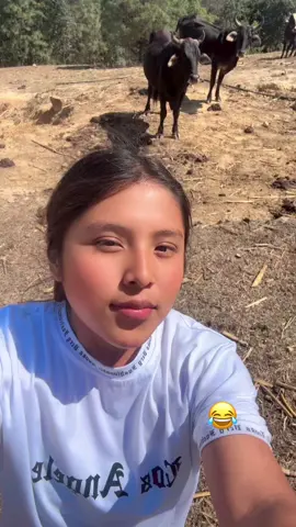 Jajajaja 