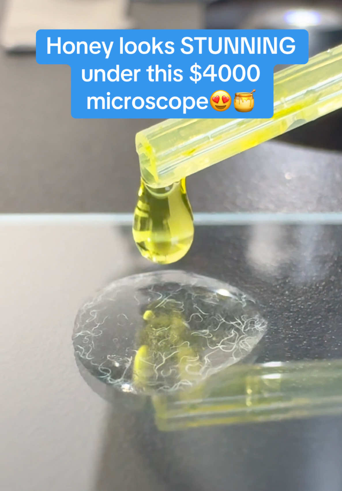 What should we look at next? #honey 