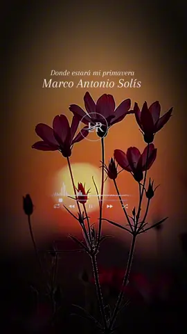 Donde estará mi primavera Marco Antonio Solís #fy #parati #foryourpage #fypage #marcoantoniosolis #musica #artistcommunity #musicaromantica #lirics_ramiro #tendencia #mexicanart #viralvideo #viraltiktok #fyppppppppppppppppppppppp #fypviral #viral 