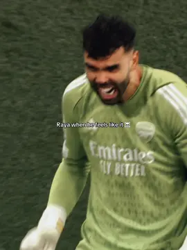 The 24/25 Golden Glove Winner 🏆 🧤 #fyp #arsenal #davidraya #raya 
