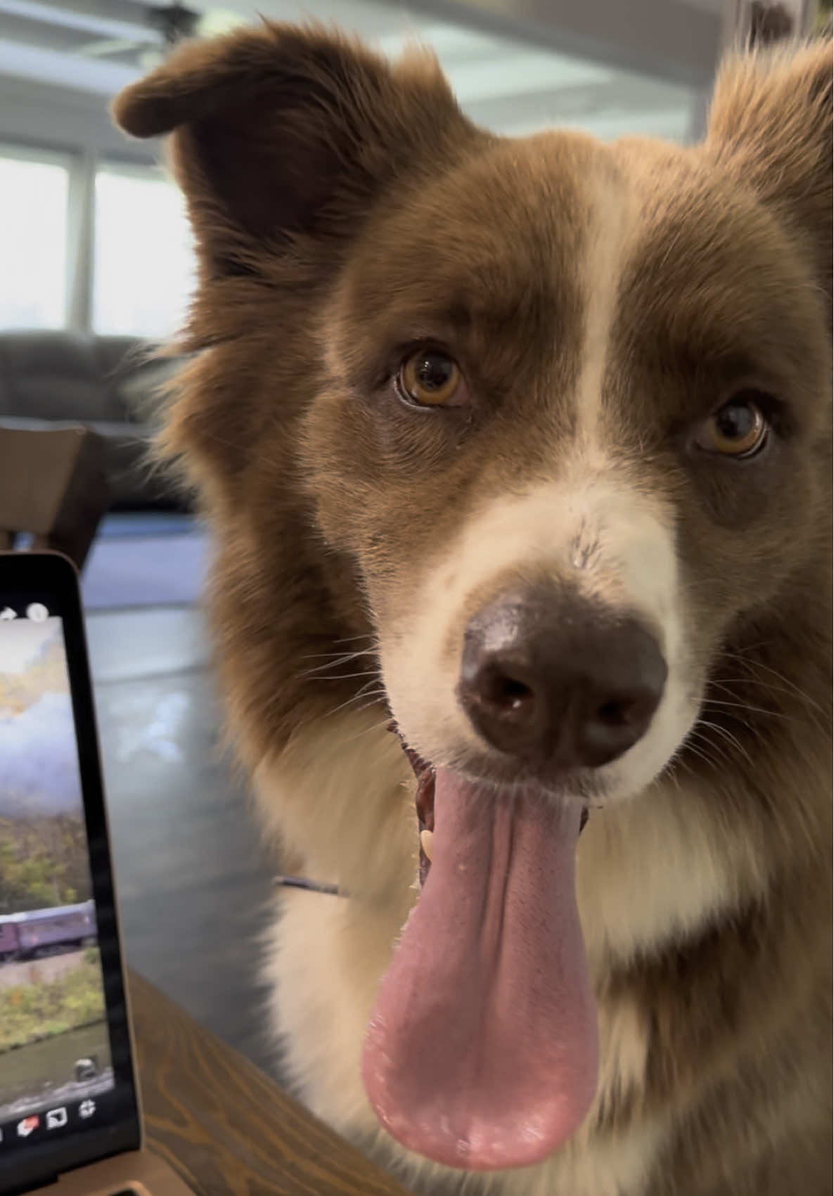 Don’t believe everything you hear