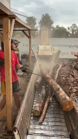 👉🏻@woodproffis We show you and lern all about how to work with wood chipper to make wood chips #creatorsearchinsights #lernontiktok #lernenmittiktok #sawmill #woodchipper 