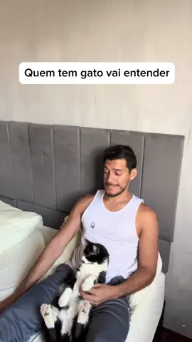 Não se mexa pra não incomodar o gato😬🤦🏻‍♂️ #gato #gatos #gatosendogato #gatosdeinstagram #humor #comedia #frajolito #gatosfofos #gatosengraçados