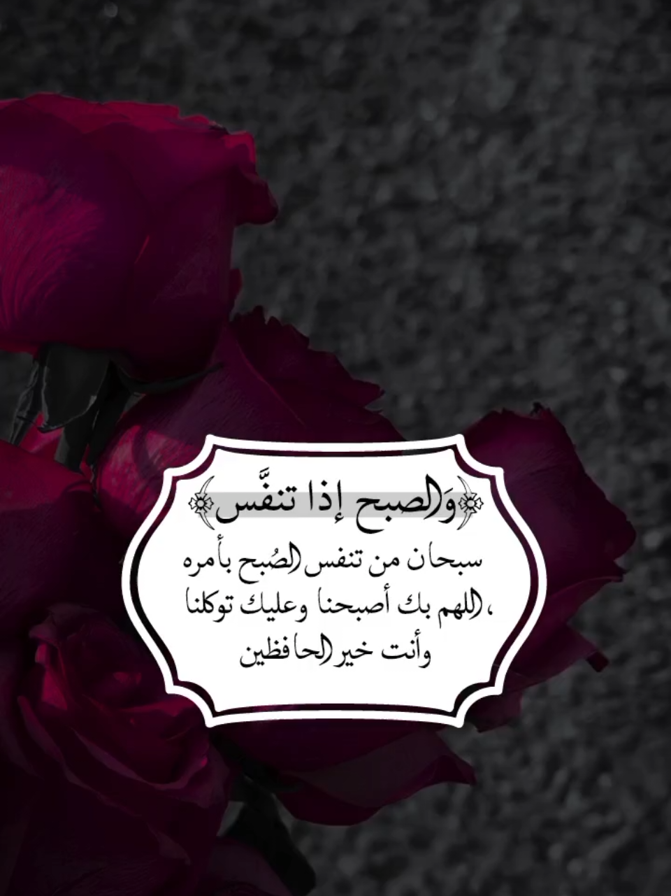 #﴿وَالصبح إذا تنفَّس﴾#foryoupag #frypgシ #foryou #هدوء_الليل 