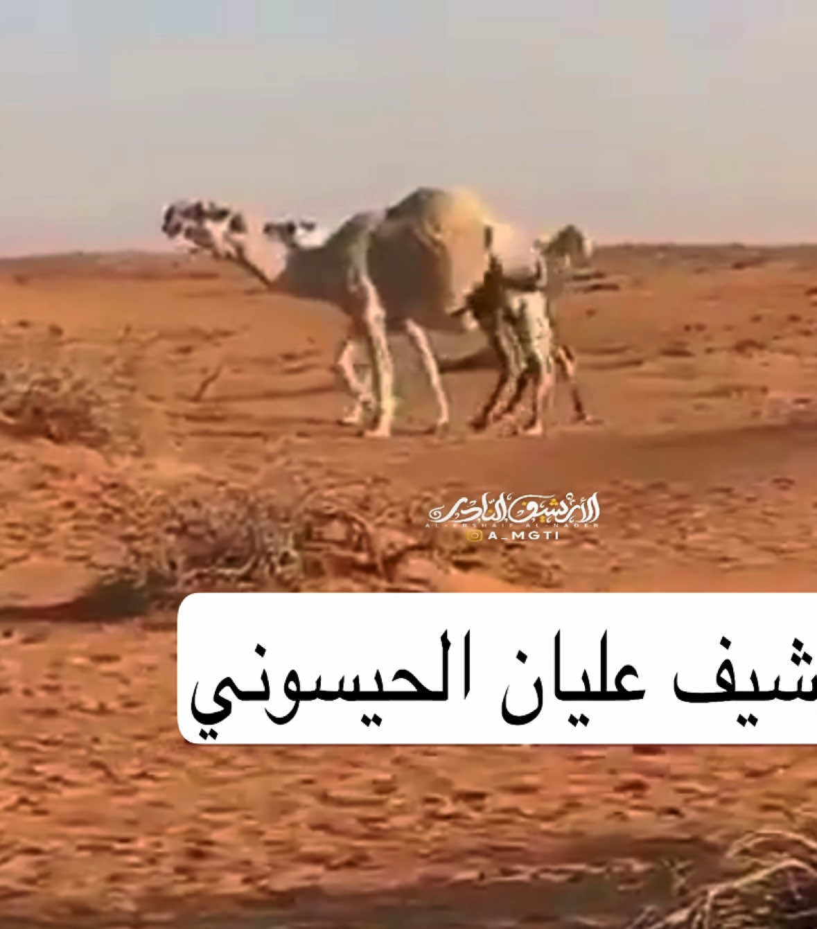 … #ارشيف عليان الحيسوني . #الارشيف_النادر