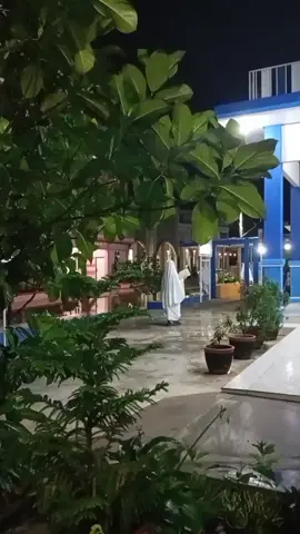 keadaan subuh di pondok putri #tilawahquran #القران_الكريم #pondokpesantren #santriputri #subuh 