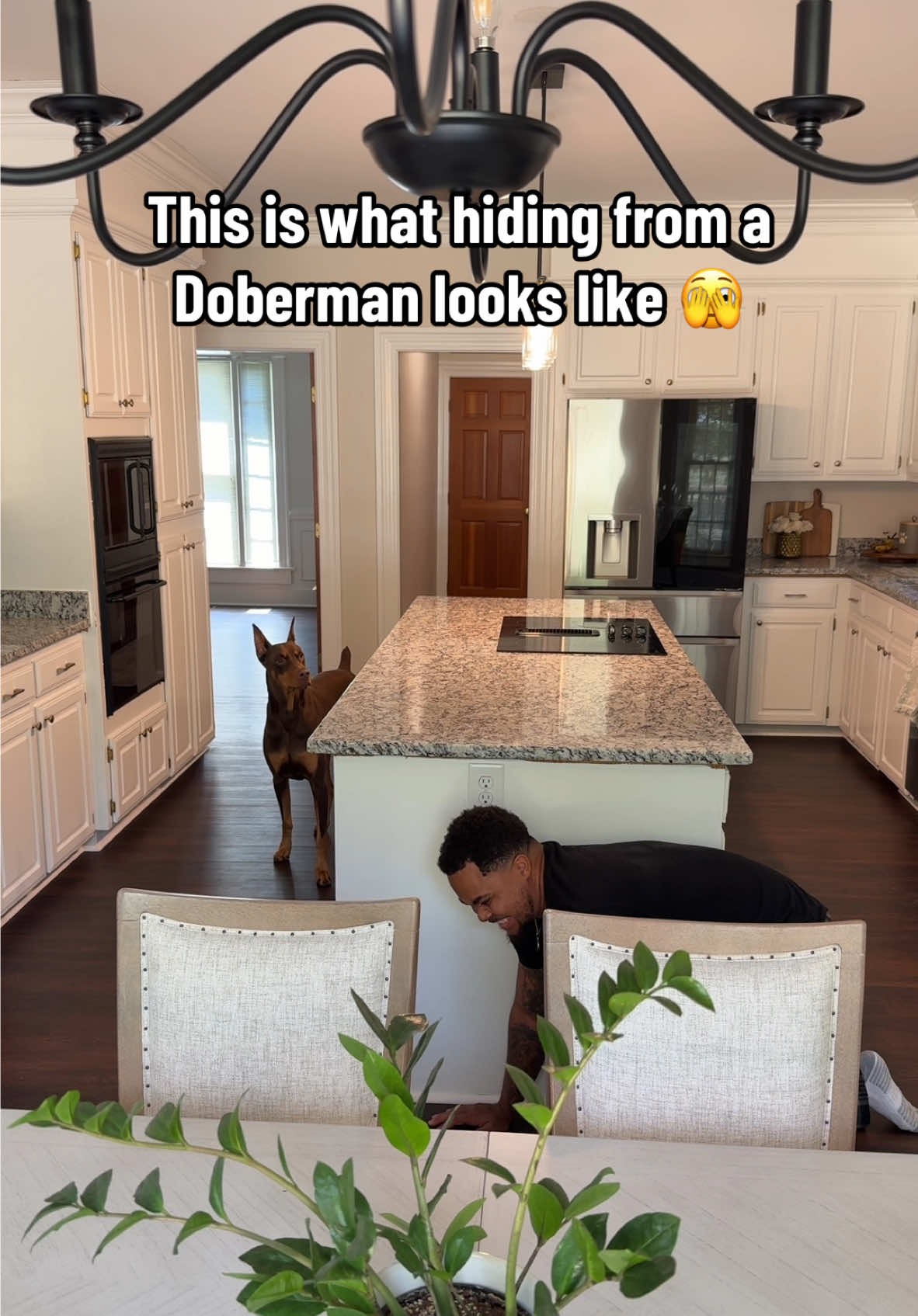 Feels like a horror movie 😭💀🤣