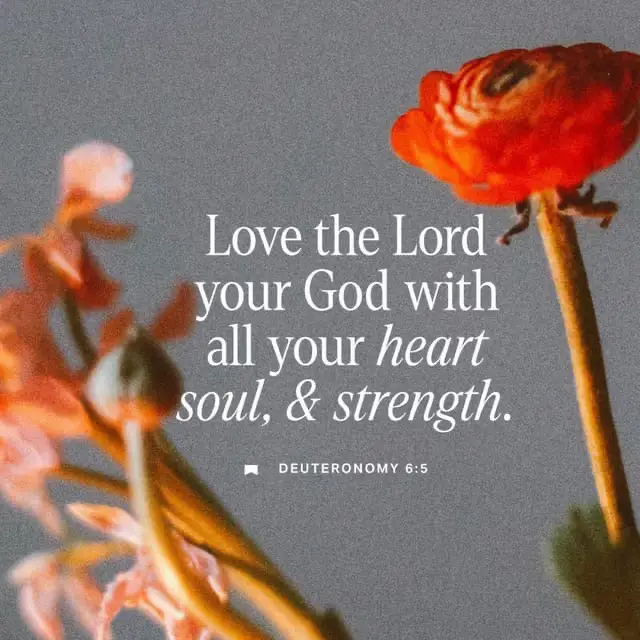 #fyp #jesus #God 