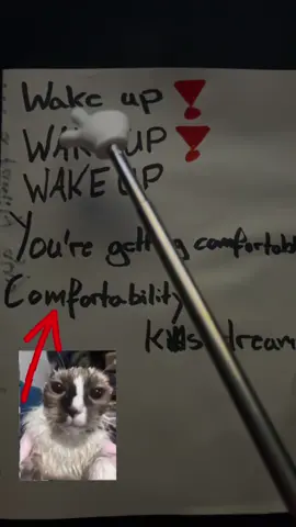 WAKE UP !!!! #memetok #wakeup #gymcat #viral_video #fingerpointer #trendin #xycba 