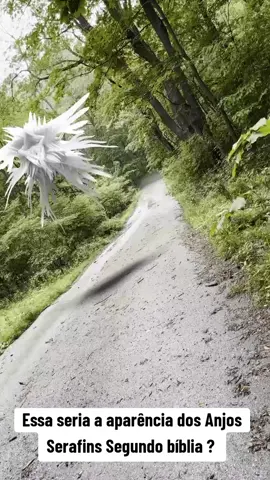 Anjos Serafins #anjo #biblia #teologia #teologiabiblica #ceu #céu #anjos #ezequiel #serafins 
