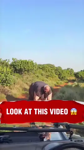 watch until the end!!
