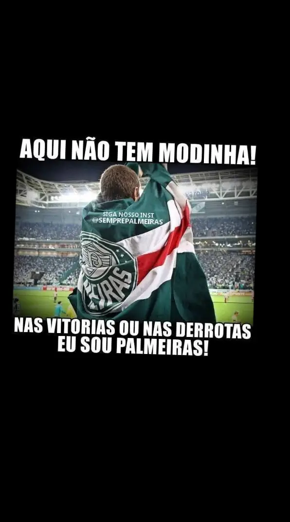 sempre vou te apoiar meu palmeiras avante palestra 💚👊🏾🐷👊🏾🤍