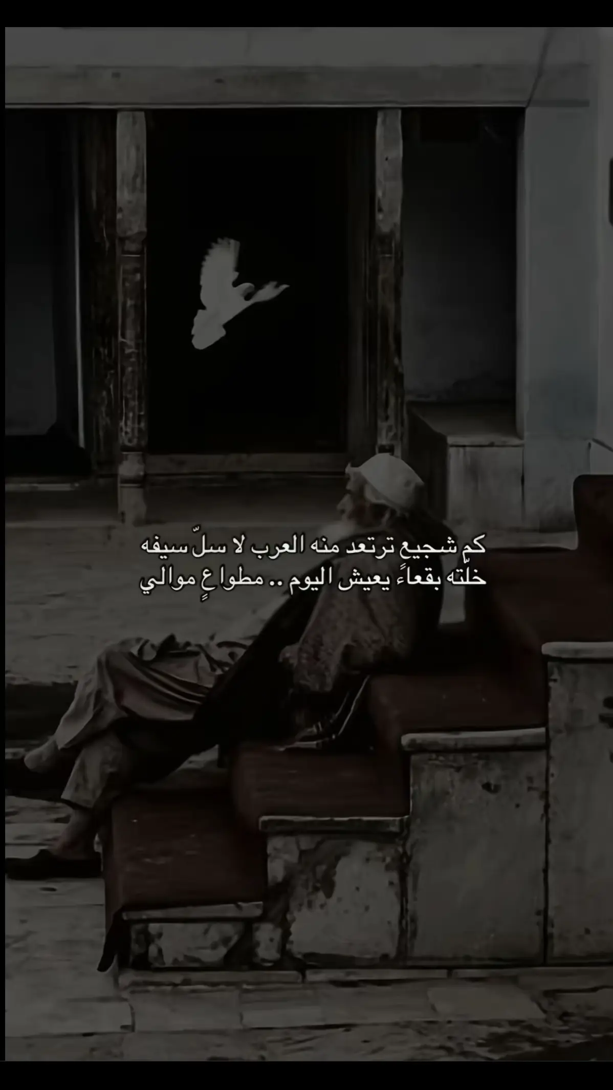 #شعر #ذواقين__الشعر_الشعبي #اكسبللور #ذوق #🎶 