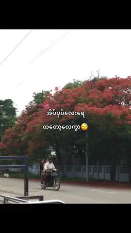 ထတော့#Fyp #foryou 