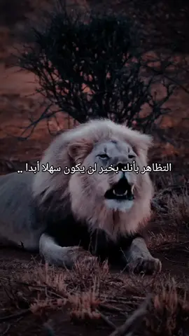 #حالات_واتس #ستوريات #youtube #foryoupageofficiall #fypシ゚ 
