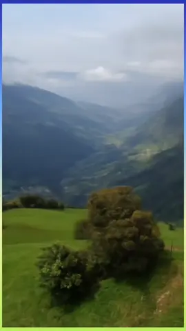 #musicacampesina #tachira_venezuela🇻🇪 #jauregui #rogelmetal #nature #paisaje #naturalezapaisajes 