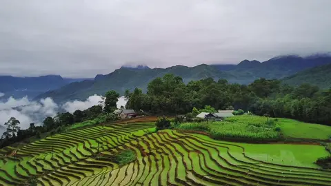 Dền sáng - bát xát - lào cai#CapCut 