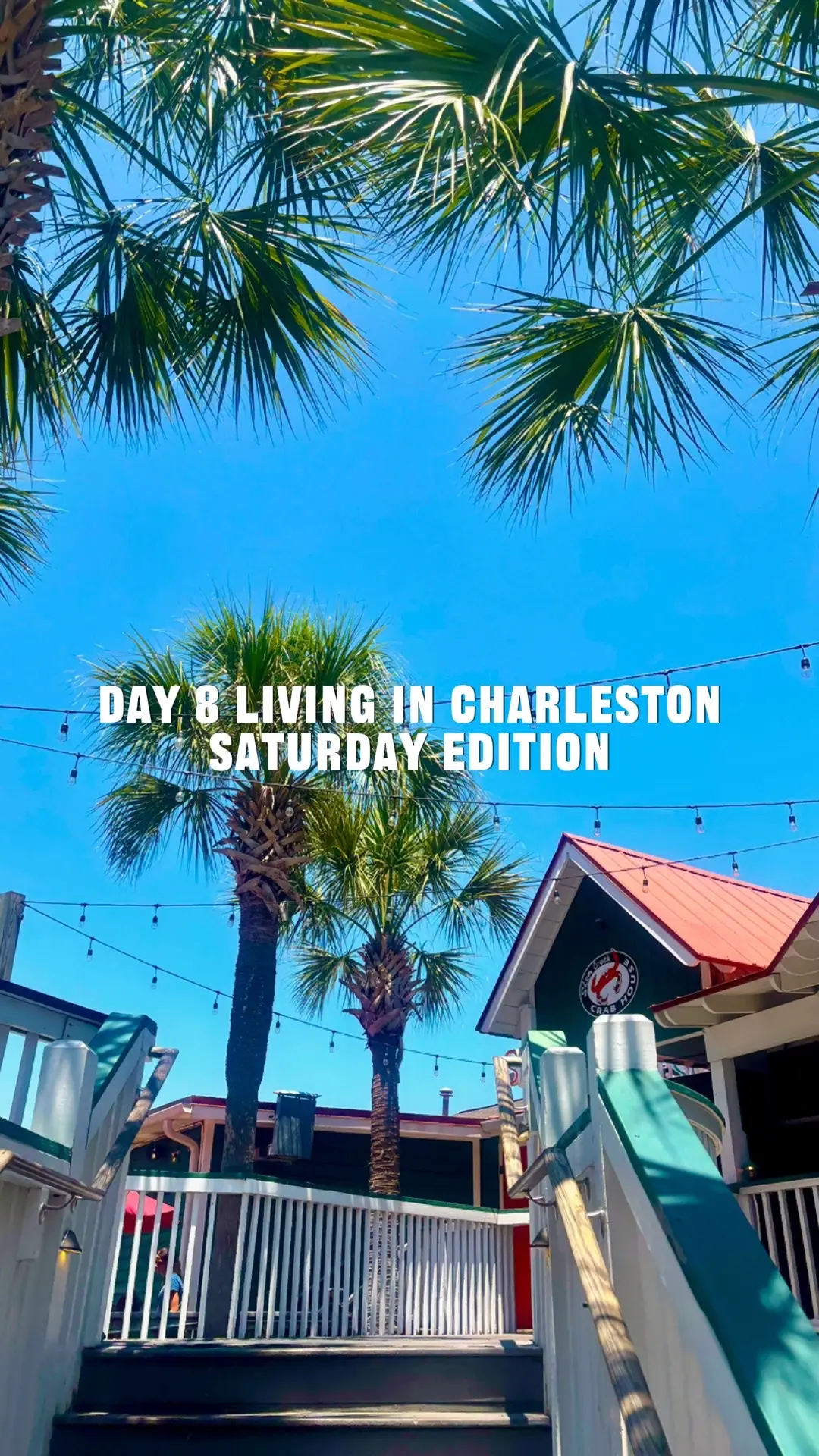 GO TO HOLY CITY BREWING RIGHT NOW #fyp #charleston #parkcircle #justmoved 