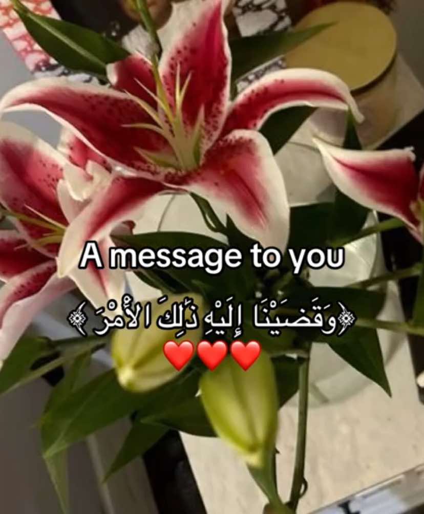 #قران #صدقه_جاريه #اللهم_صل_وسلم_على_نبينا_محمد #دعاء #استغفرالله #الحمدلله_دائماً_وابداً 