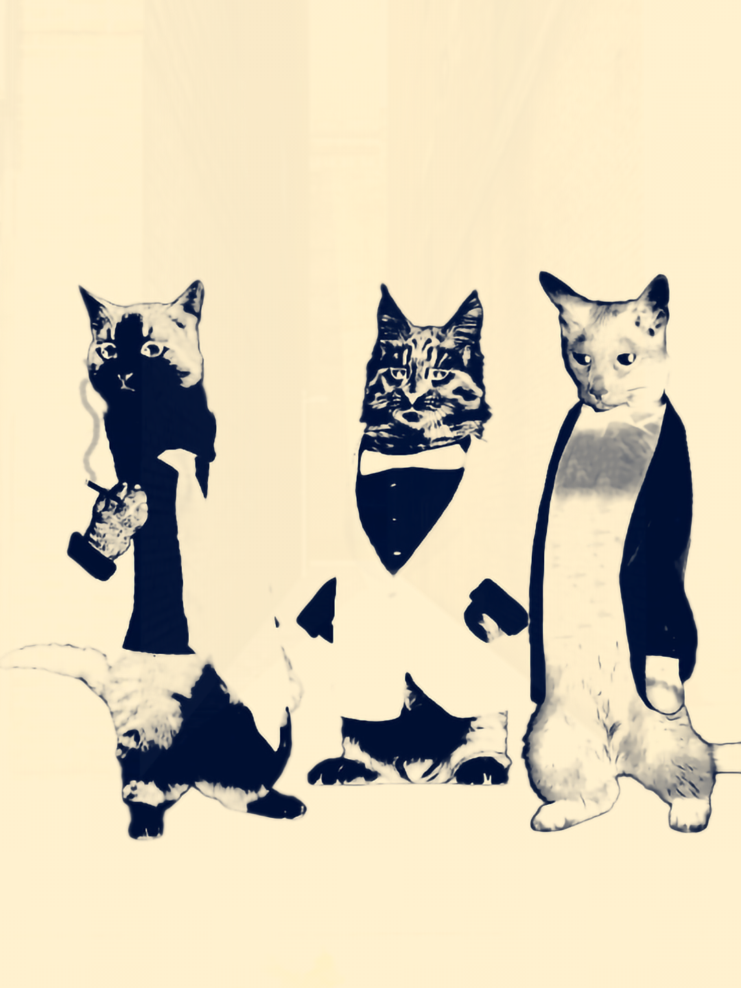 Secret Cat Business #cat #animation