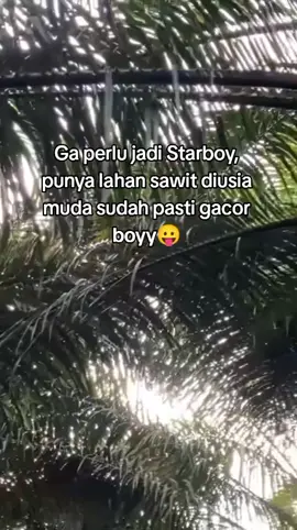 🔥 #fyppp #sawitriau #video #masukberanda #sawitontiktok 