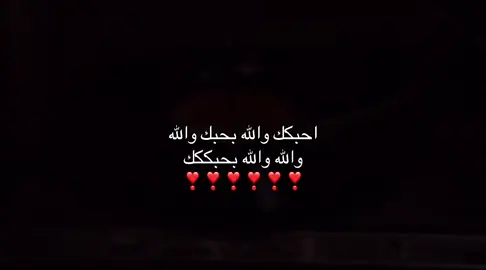 #اكسبلورexplore 