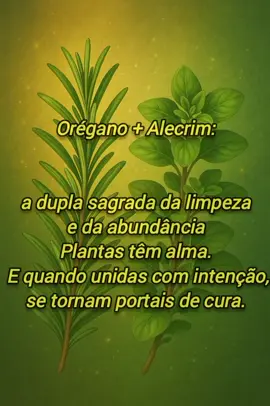Orégano + Alecrim Purifique sua energia e atraia prosperidade Essas duas ervas sagradas formam uma poderosa alquimia de limpeza espiritual e abertura de caminhos. Ferva 1 litro de água Adicione um punhado de orégano + um punhado de alecrim Tampe e deixe em infusão por 15 min Para a casa: borrife em portas, janelas e cantos Para o corpo: banho do pescoço para baixo Afirmação: 