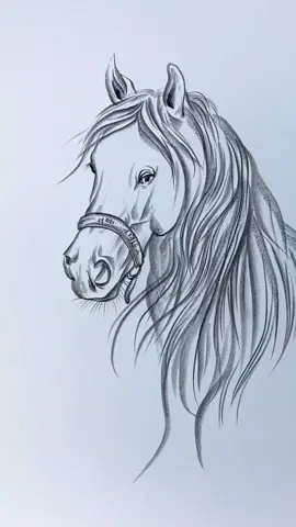 easy horse drawing tutorial . . . #draw #howtodraw #usatiktok🇺🇸 #uktiktok #tutorial #drawingchallenge #drawingprocess #drawingtutorial #artlover 