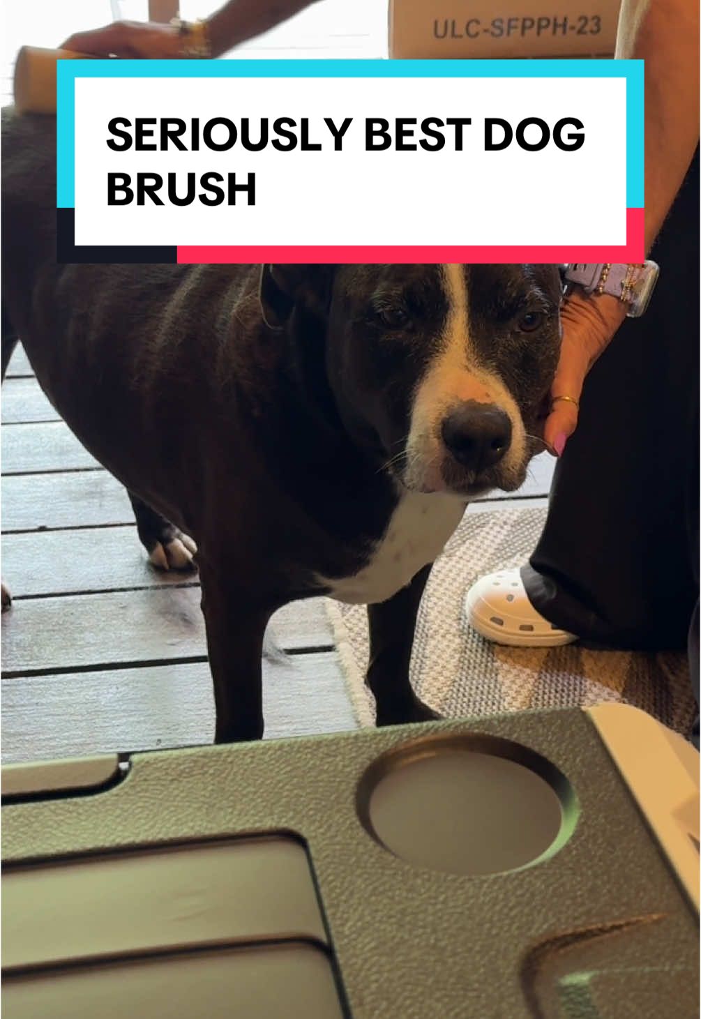 This brush was used after we brushed him with our $32 Dog Brush! #fyp #dog#CapCut 