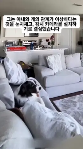 #fyp #foryou #진실혹은거짓 #정보 #일상 #뉴스 #1분톡톡 #쇼츠 