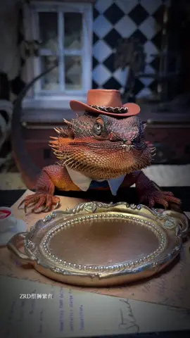 #lizard #animals #animalsoftiktok #foryou #fyp #viral
