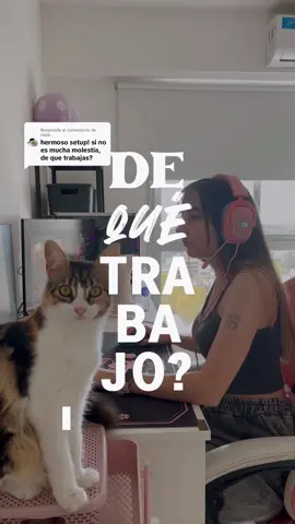 Respuesta a @rosie ahí explico bien mis trabajos 💖 espero que te sirva!!  #graphicdesign #diseñografico #mitrabajo #trabajoremoto #homeoffice #diseñografico #diseñadoragrafica #setup #fyp #paratii 