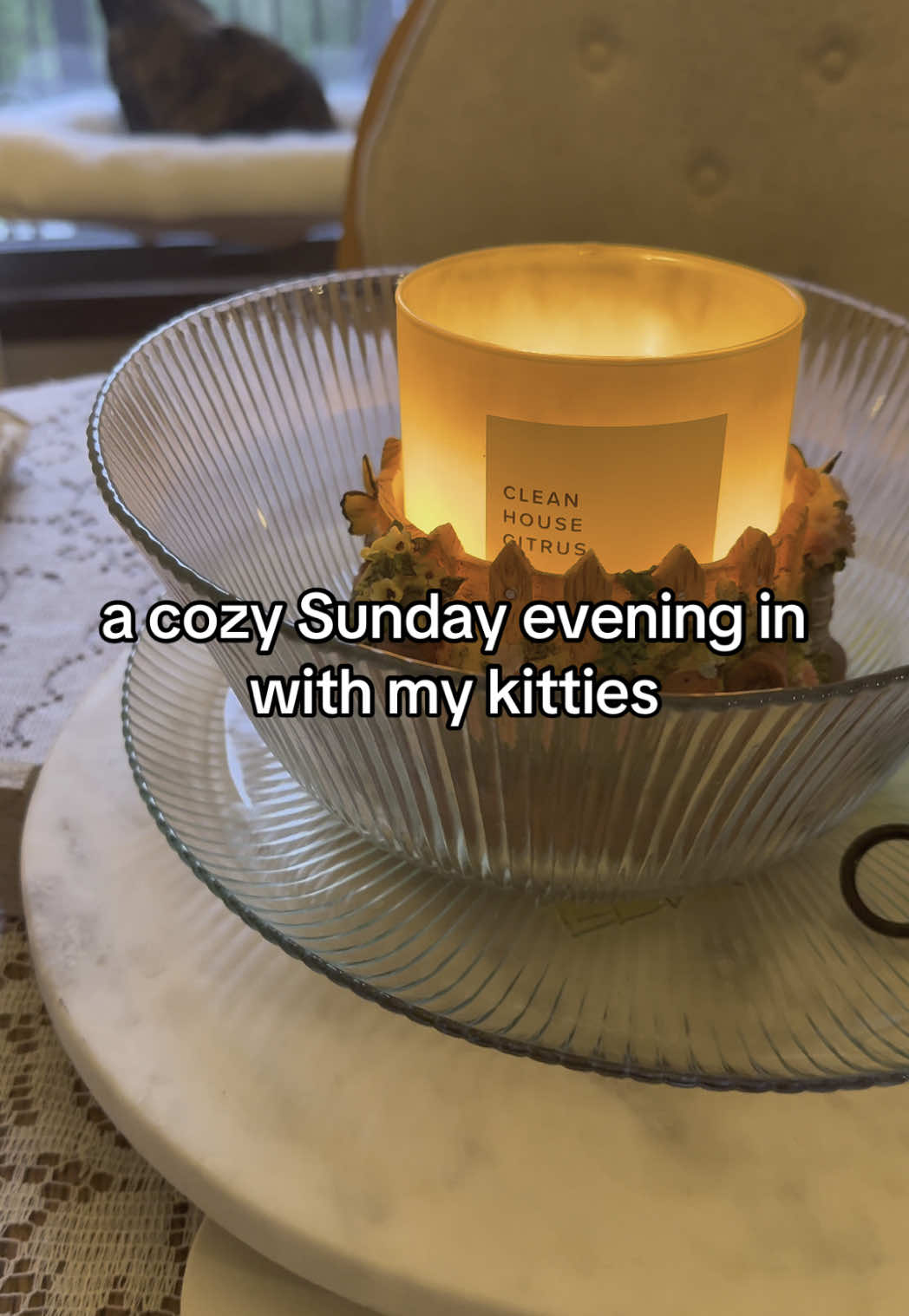 Sunday reset with my kitties #cattok #sunday #cozy #sundayreset #cat #cottage #thrifted #sundaysnuggles 