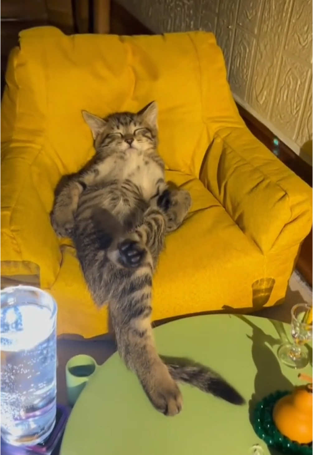 Chill cute cat chillin (song: ilyTOMMY - fine shyt) *drops June 6th* #ilytommy #PetsOfTikTok #explorepage #animals #undergroundrap #undergroundmusic #cat #cats #catsoftiktok #PetsOfTikTok #petlover #funnyvideos #memecut #fypシ゚viral #rap #chill #tiktokviral #tiktok 